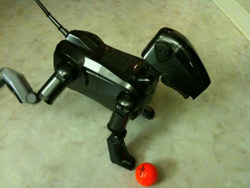 45_aibo_kuroko1 45_aibo_kuroko1