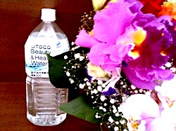 091109flowerutoco 091109flowerutoco