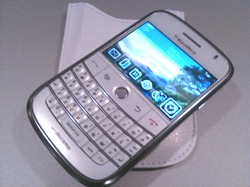 091225blackberry 091225blackberry