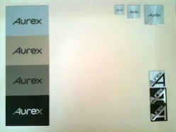 100704aurex_5