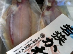 カレイ