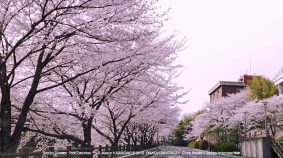 Blog 04:03.002