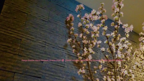 Blog 2019:03.032